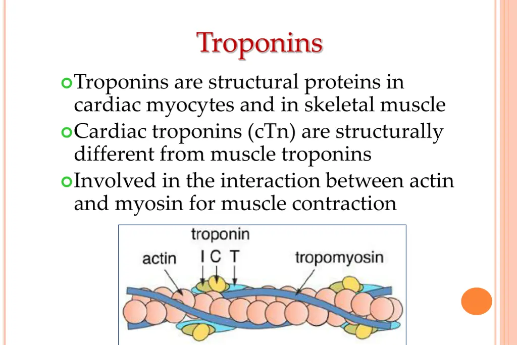 troponins