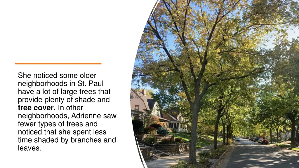 she noticed some older neighborhoods in st paul