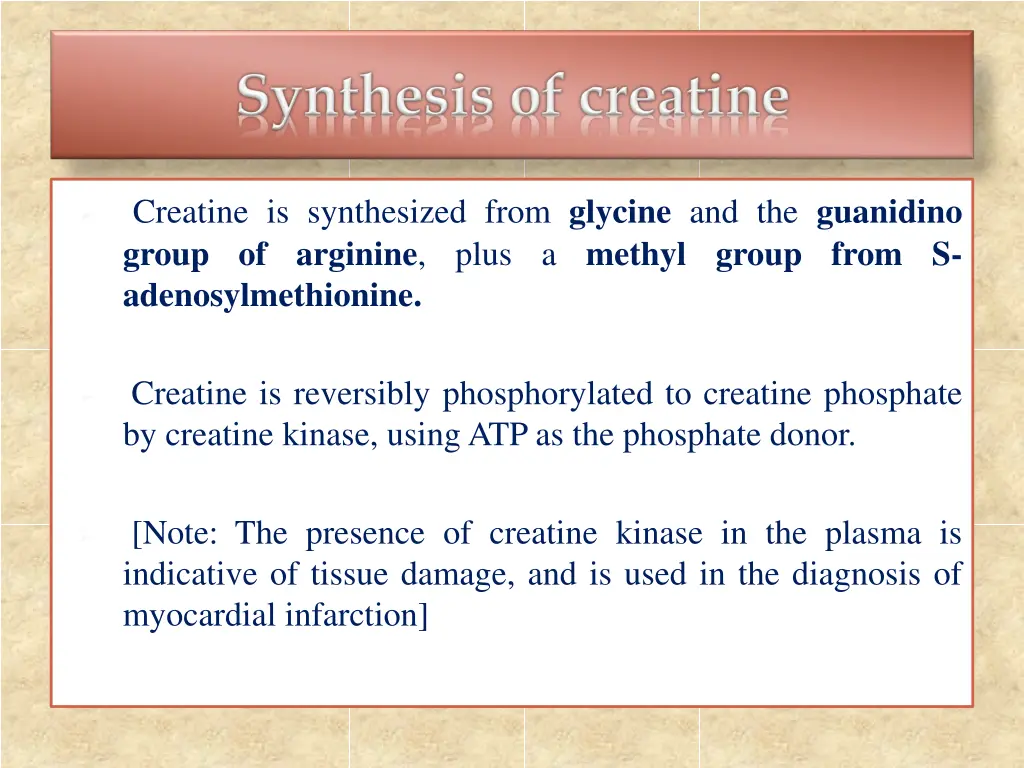 creatine is synthesized from glycine