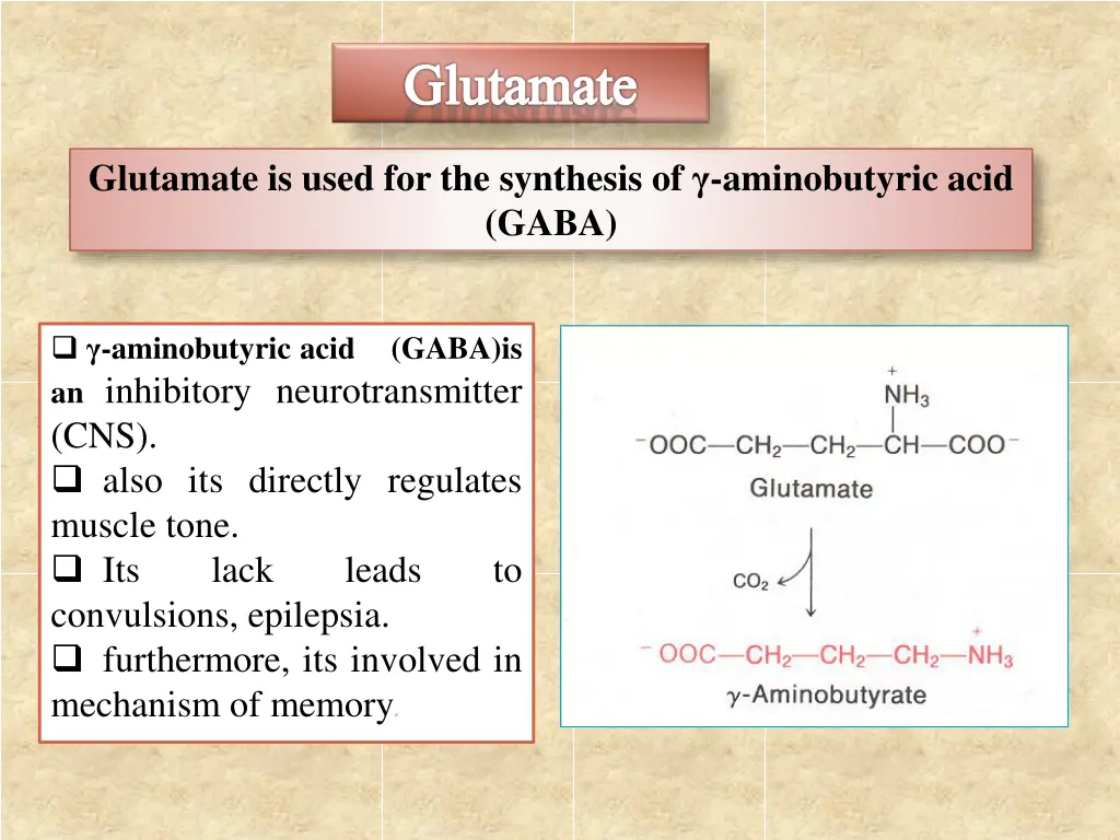 glutamate