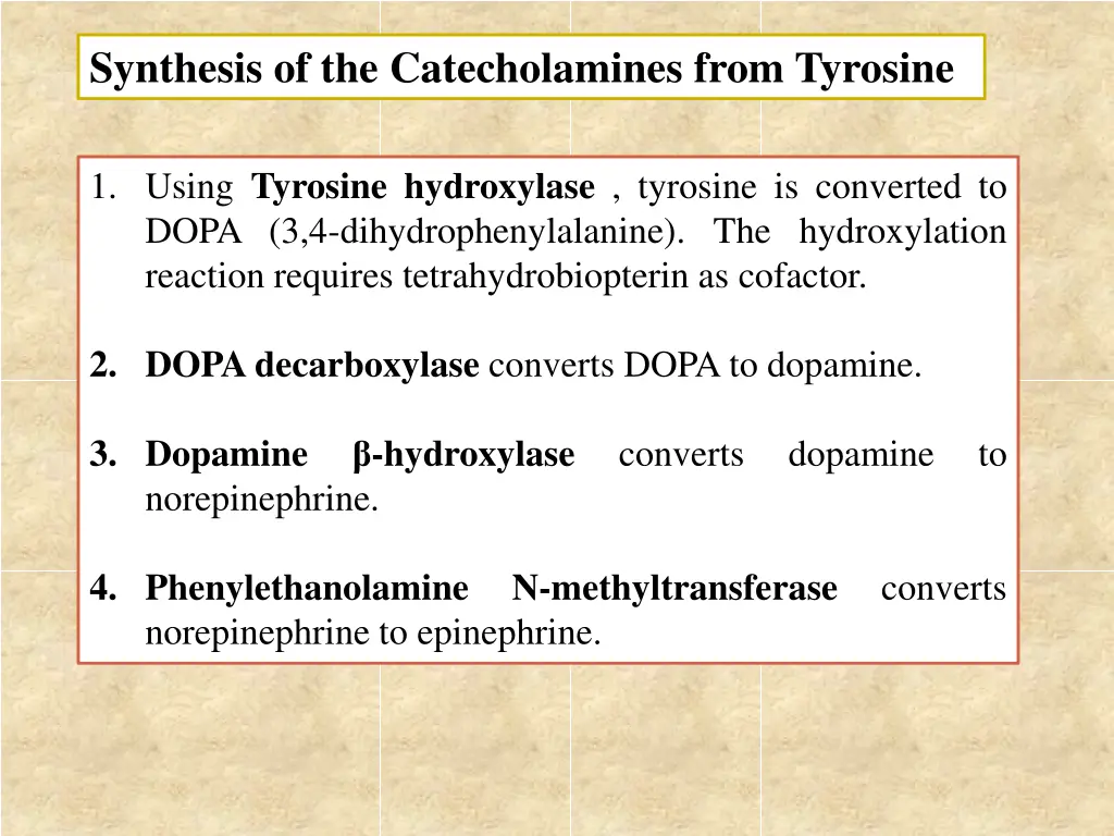 synthesis of the catecholamines from tyrosine