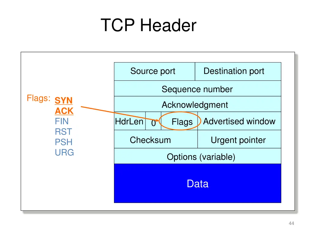 tcp header 4