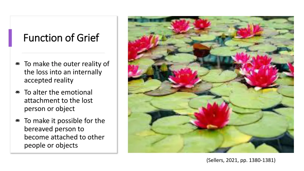 function of grief function of grief