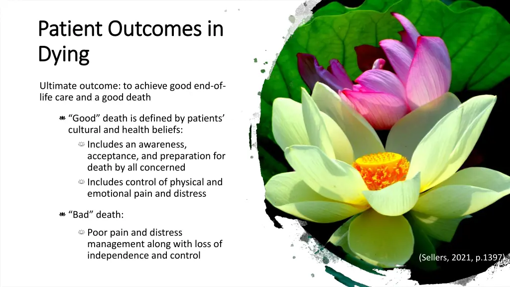 patient outcomes in patient outcomes in dying