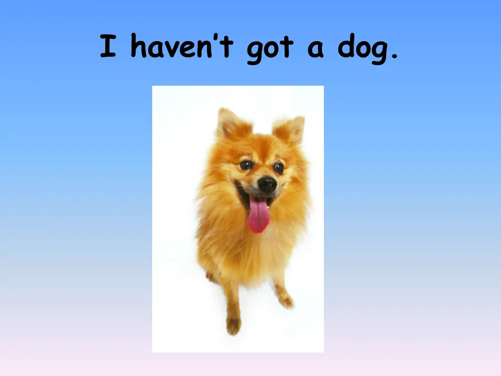 i haven t got a dog