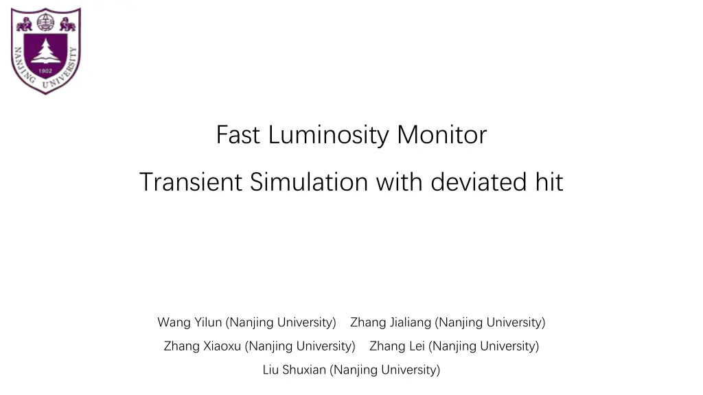 fast luminosity monitor