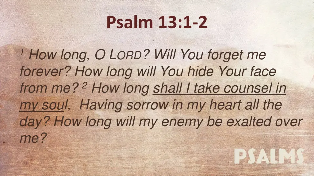 psalm 13 1 2 4