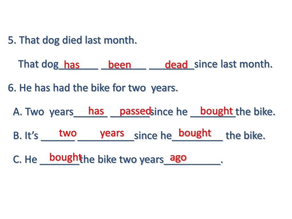 5 that dog died last month