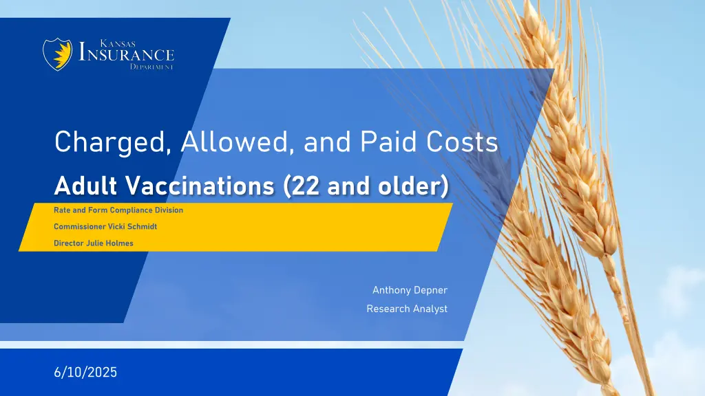 charged allowed and paid costs