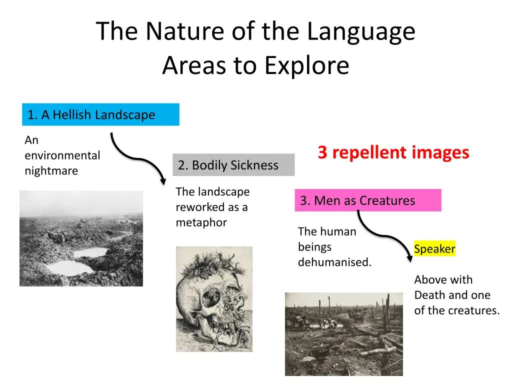 the nature of the language areas to explore