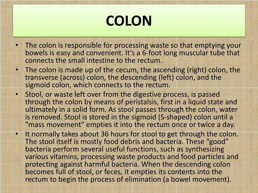 colon