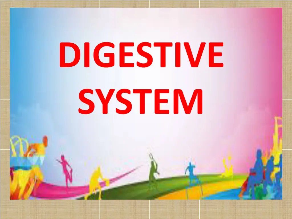 digestive system