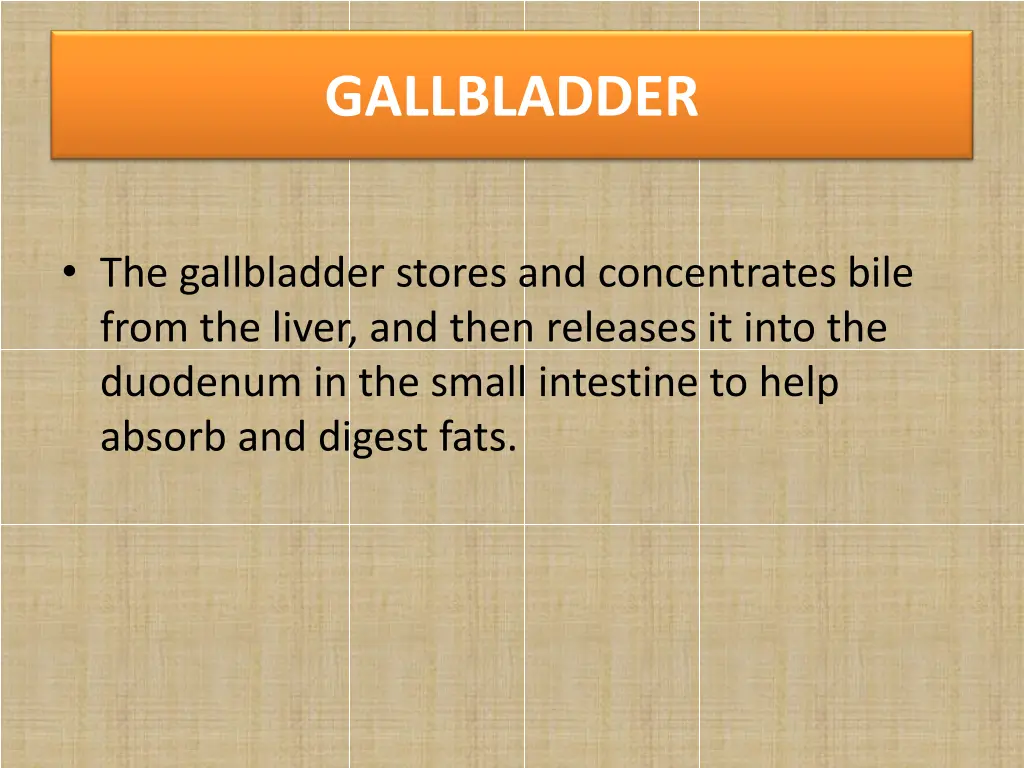 gallbladder