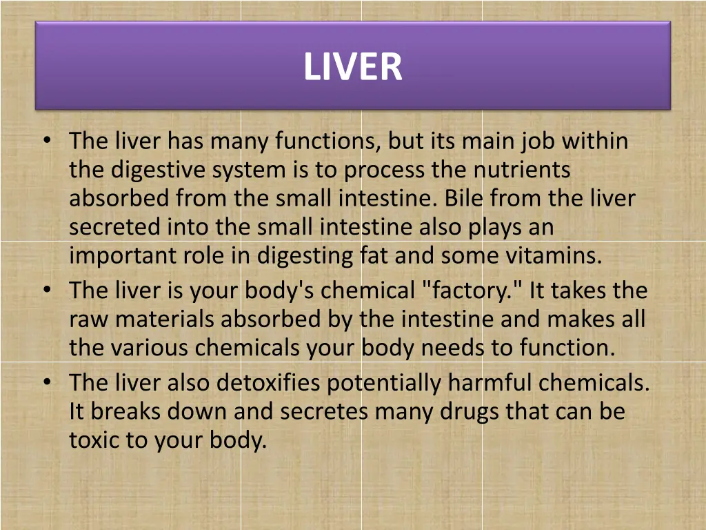 liver