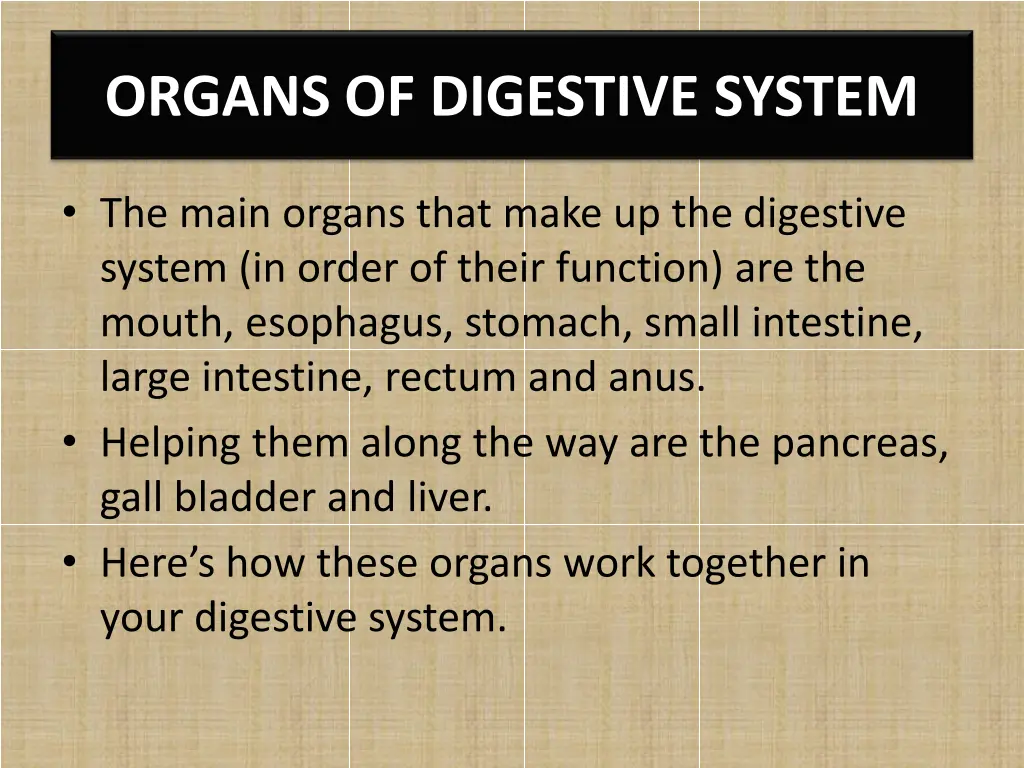 organs of digestive system