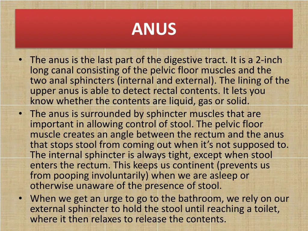 slide17