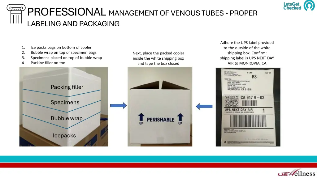 professional management of venous tubes proper 1