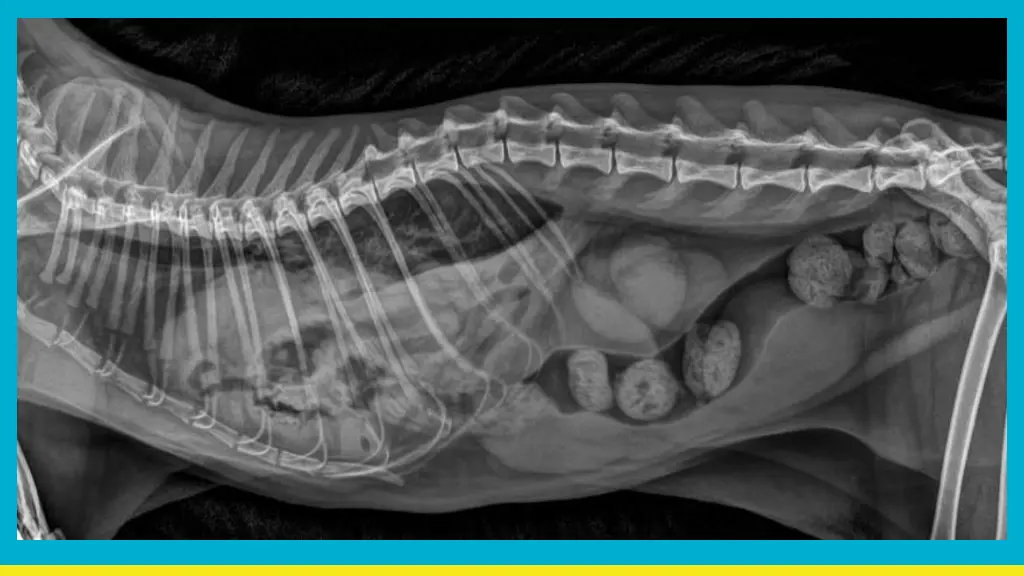 slide10