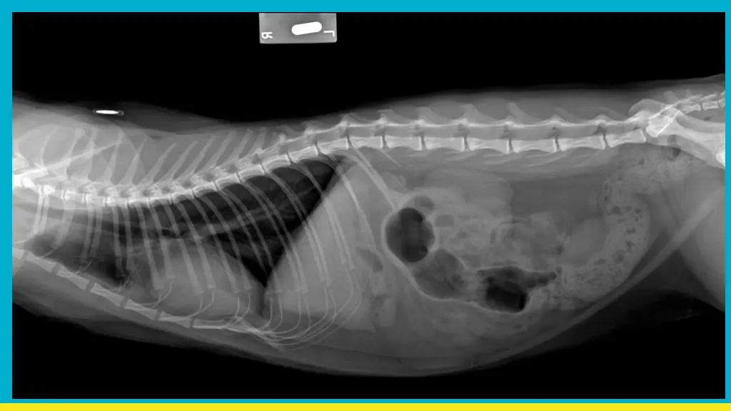 slide9
