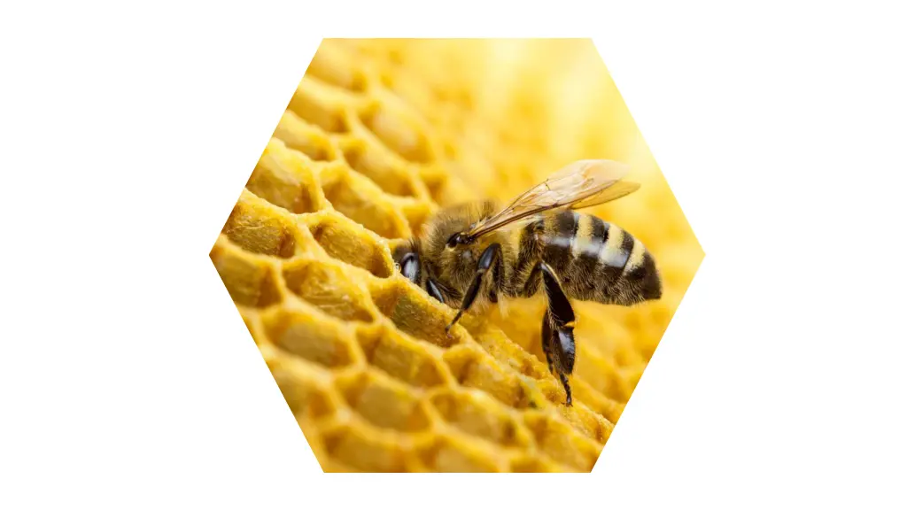 slide9