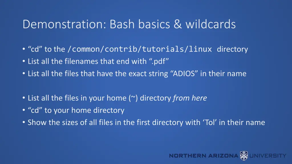 demonstration bash basics wildcards