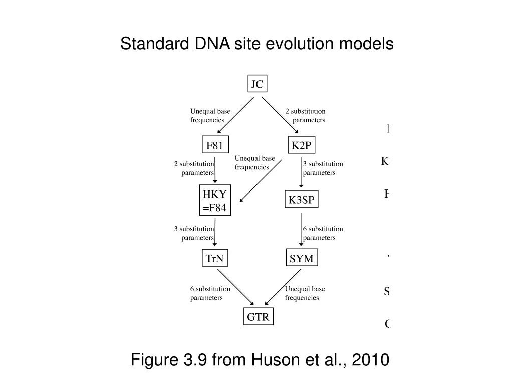 standard dna site evolution models