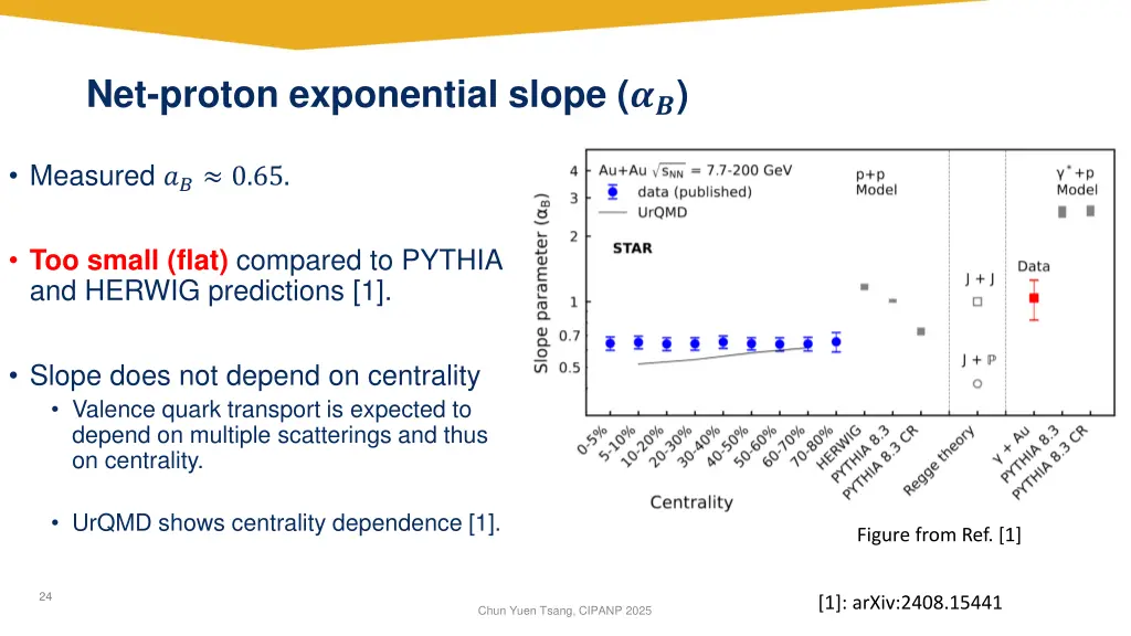 net proton exponential slope