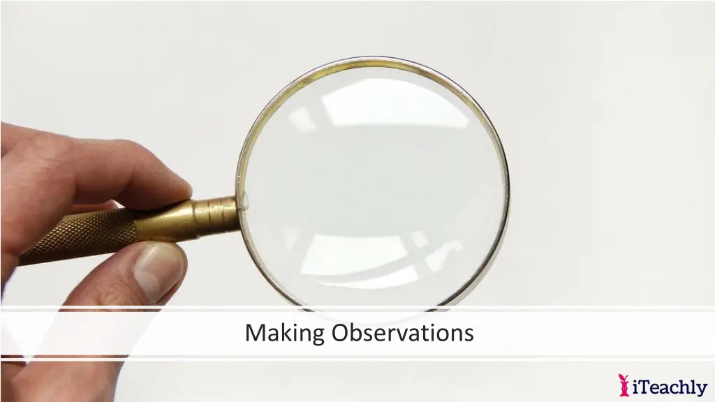 making observations 2