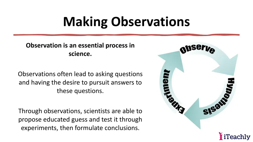 making observations 4