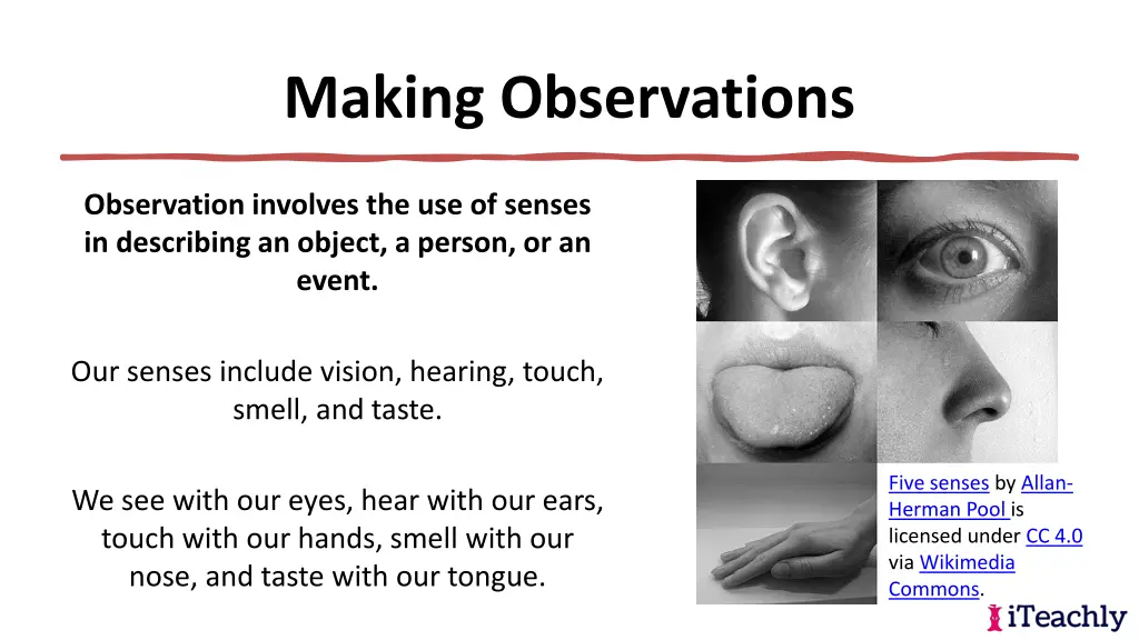 making observations 5