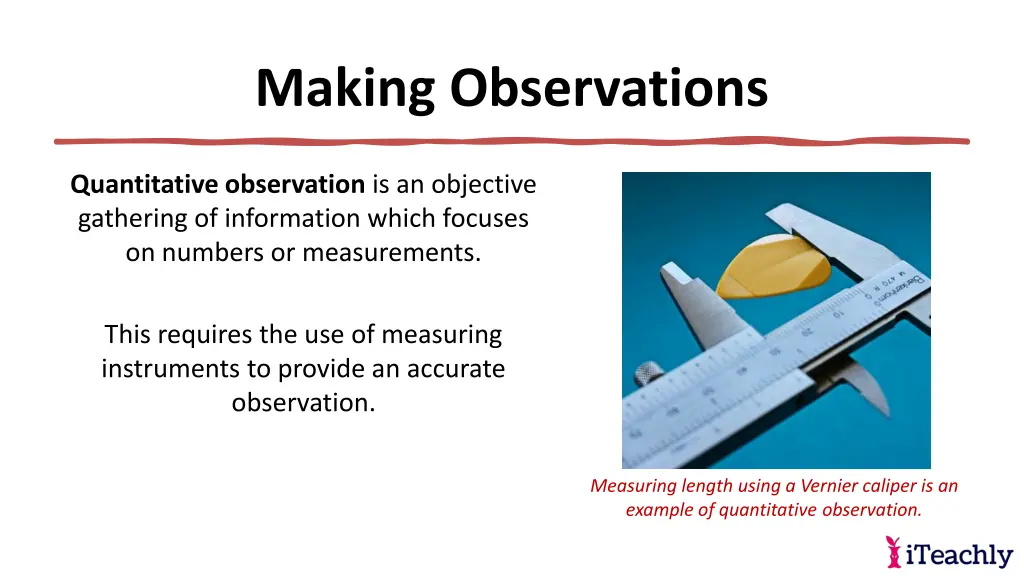 making observations 8