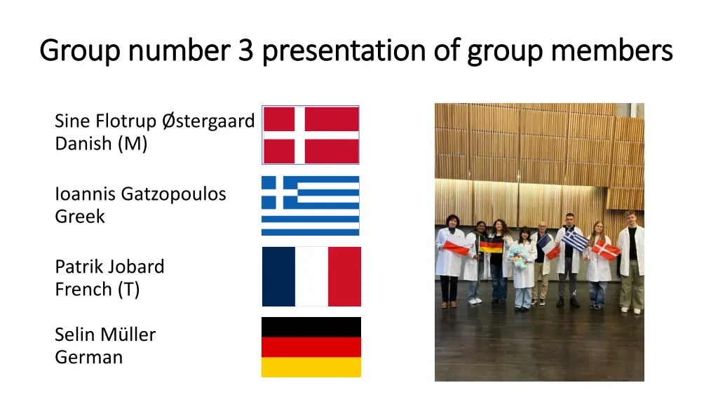 group number 3 presentation of group members 1