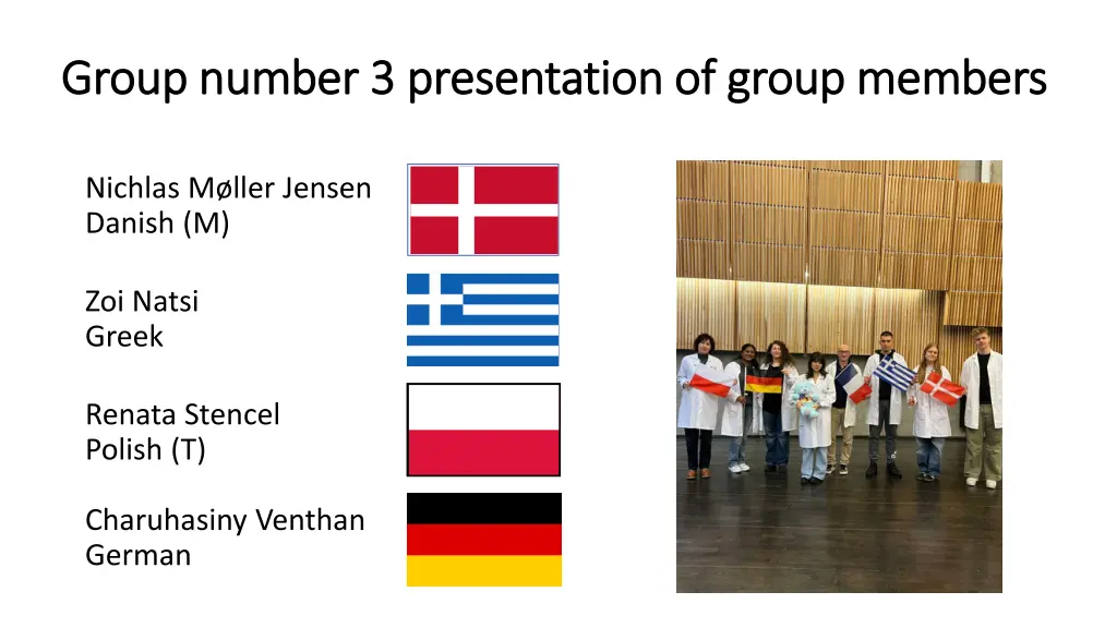 group number 3 presentation of group members