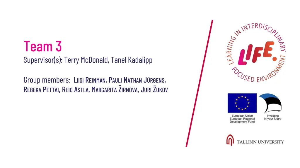team 3 supervisor s terry mcdonald tanel kadalipp