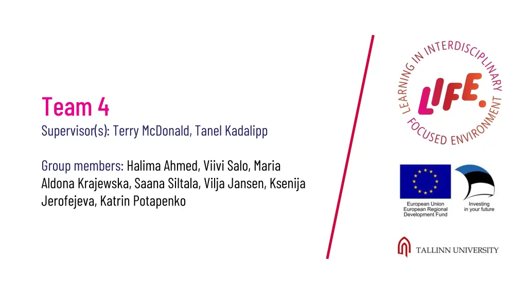 team 4 supervisor s terry mcdonald tanel kadalipp