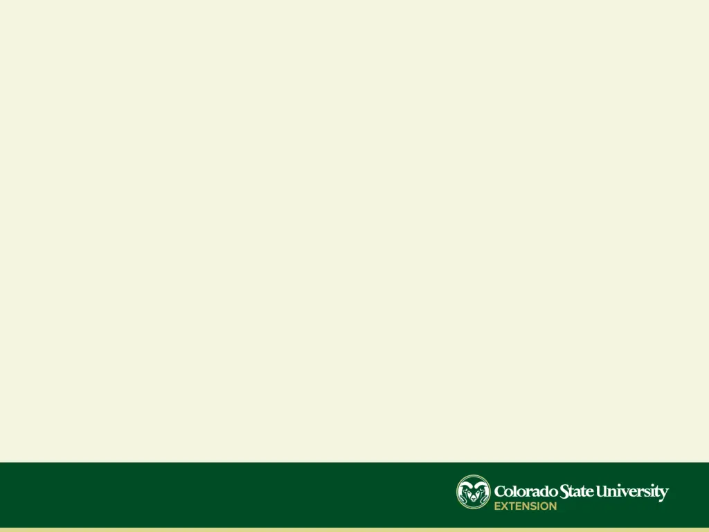 slide4
