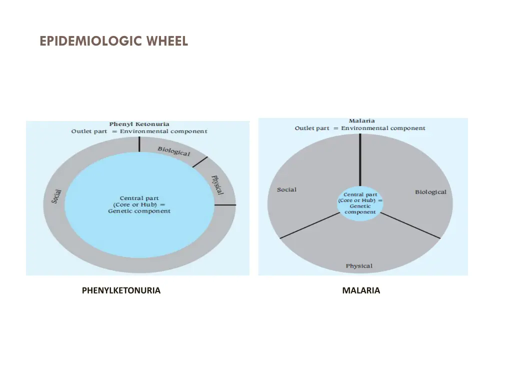 epidemiologic wheel 2