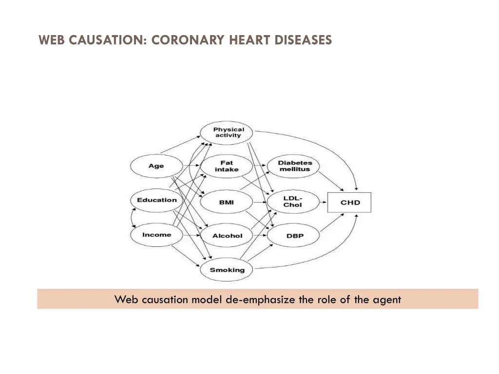 web causation coronary heart diseases