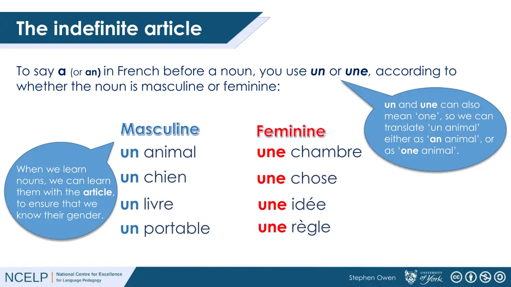 the indefinite article