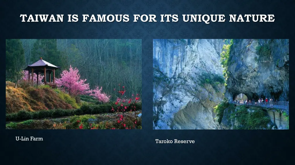 taiwan is famous for its unique nature