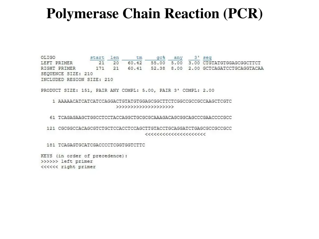 polymerase chain reaction pcr 1