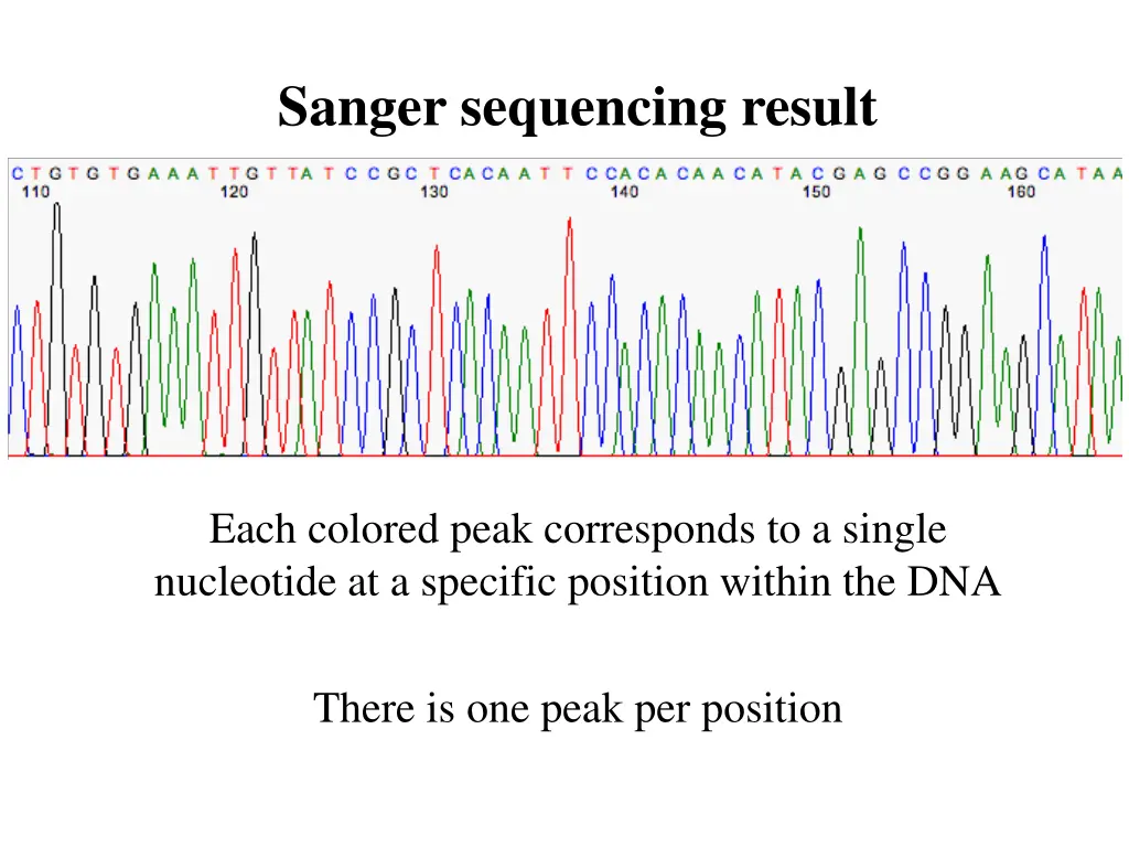 sanger sequencing result