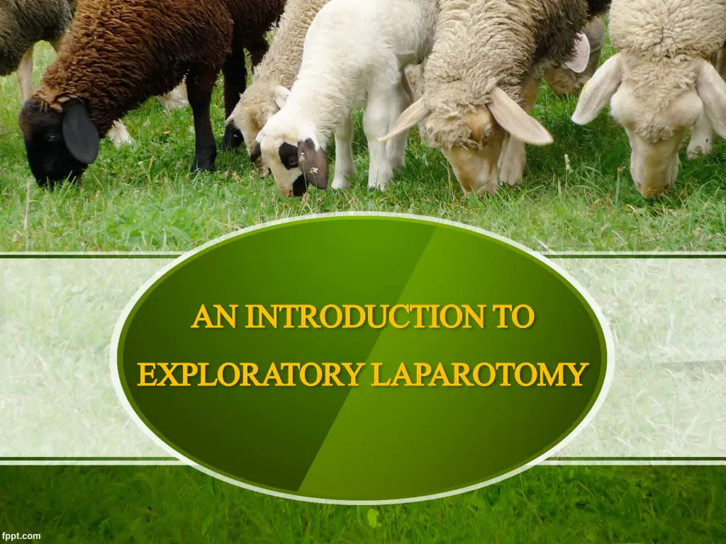 an introduction to an introduction to exploratory