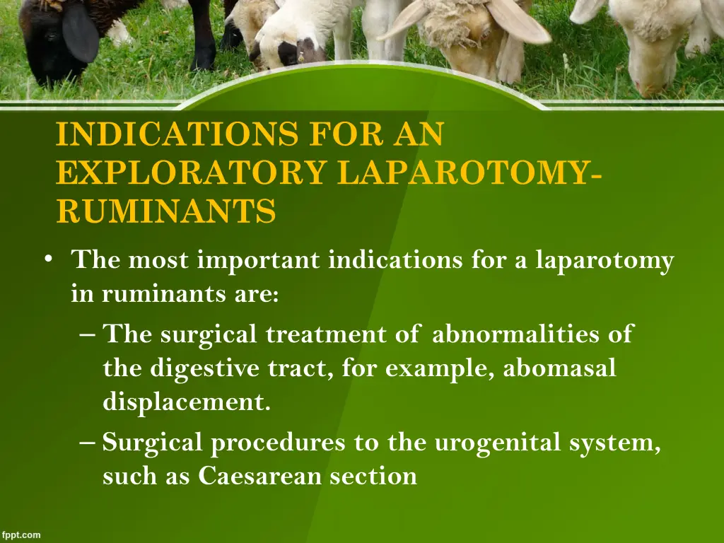 indications for an exploratory laparotomy 1