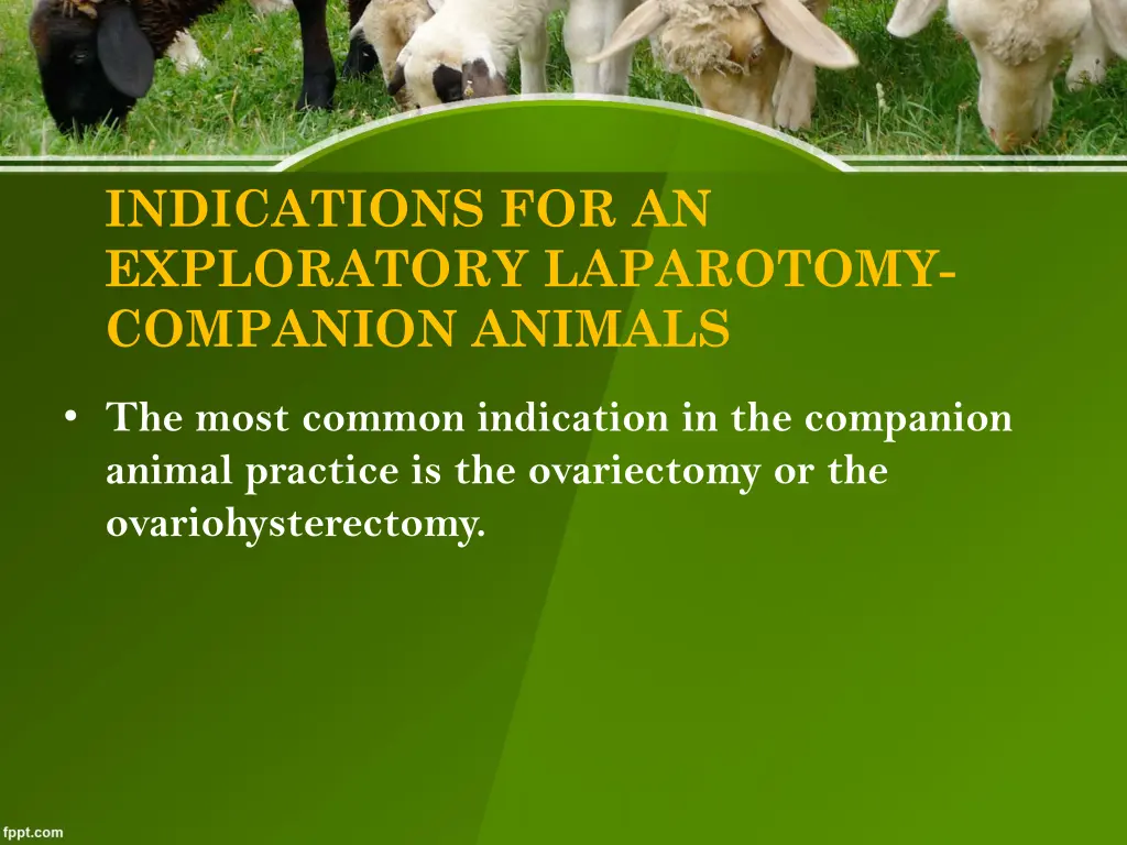 indications for an exploratory laparotomy