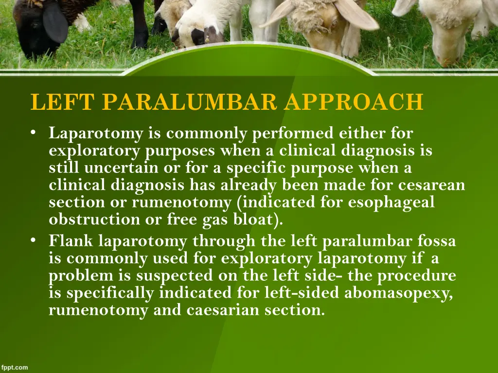left paralumbar approach laparotomy is commonly