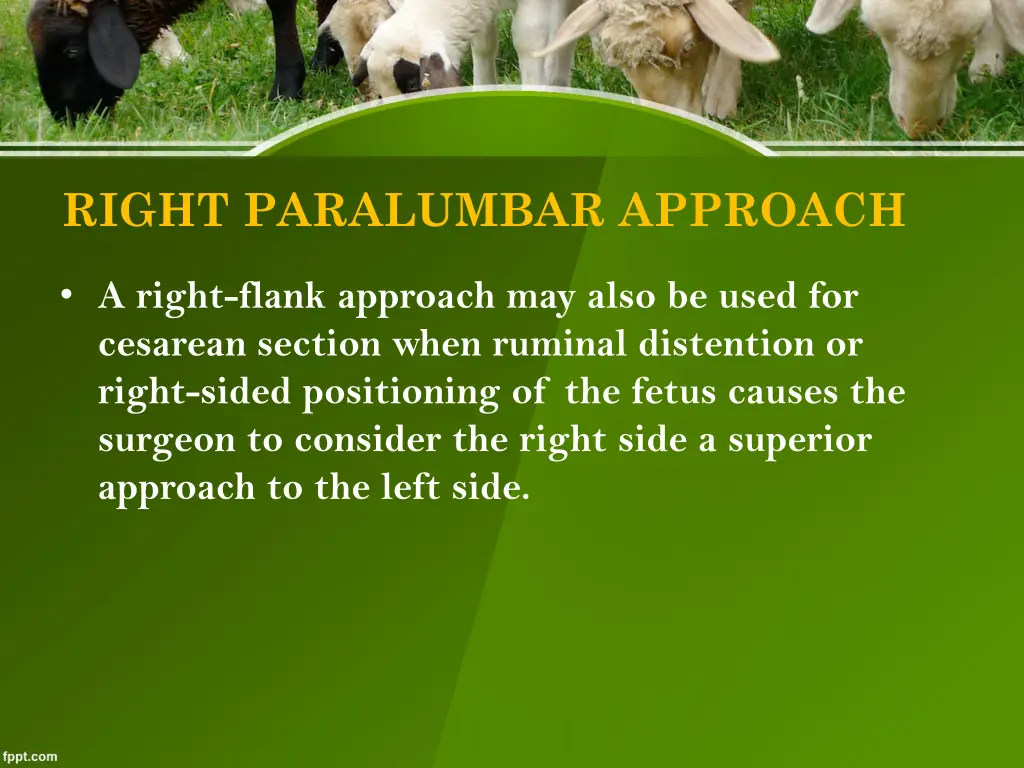 right paralumbar approach 1