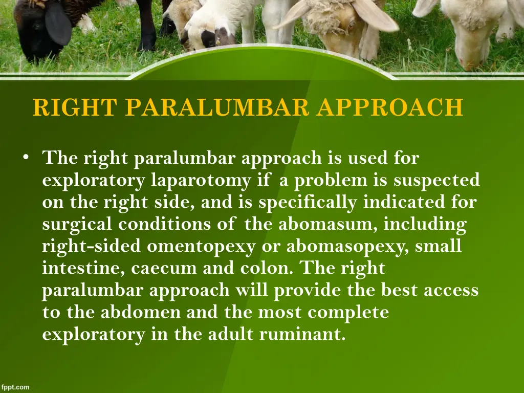 right paralumbar approach