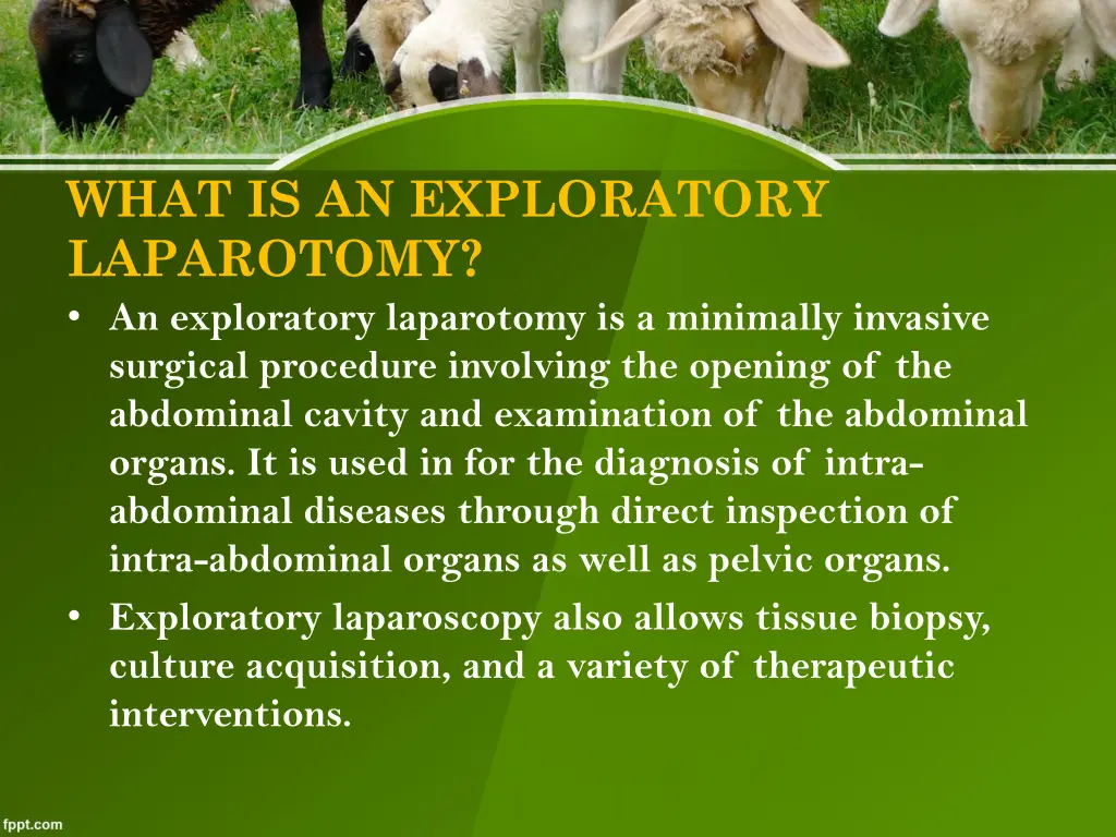 what is an exploratory laparotomy an exploratory